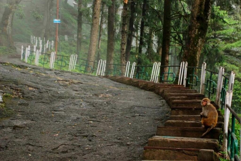 Jakhoo Hill