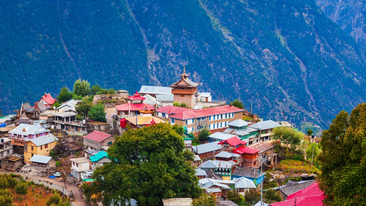 Jannat Travel Guru ( Best travel agency in Chandigarh) Full Details 3 Jannat Travel Guru ( Best travel agency in Chandigarh) Full Details