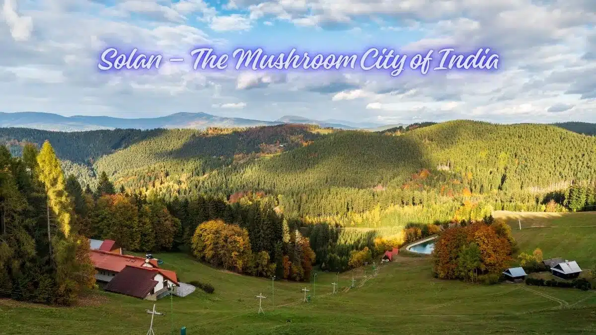 Solan – The Mushroom City of India